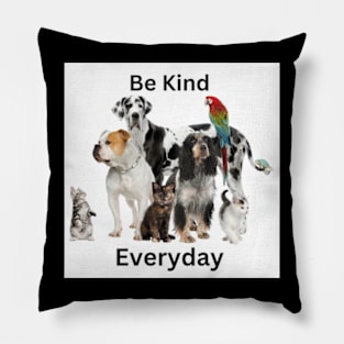 Be Kind Everyday Pillow