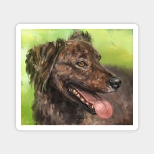 Painting of a Brown Brindle Long Hair Dutch Shepherd with its Tongue Out Magnet