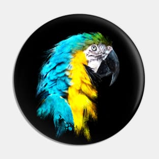 Dramabite Watercolor blue yellow macaw ara parrot artsy artistic painting Pin