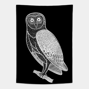 Barn Owl - detailed hand drawn bird design Tapestry