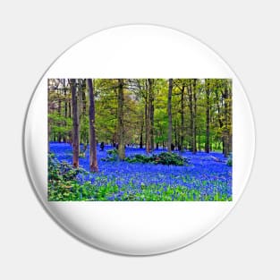 Bluebell Woods Greys Court Oxfordshire England UK Pin