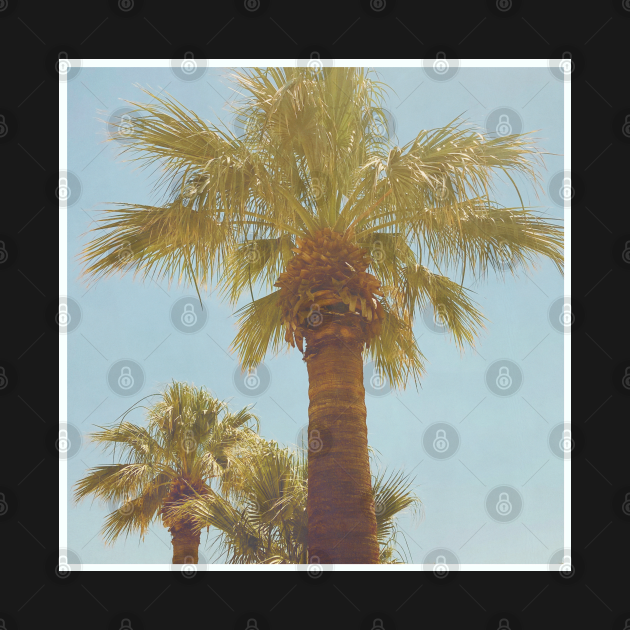 Discover Pretty picture of a Palm Tree. Pretty Palm Trees Photography design with blue sky - Pretty Palm Tree - T-Shirt