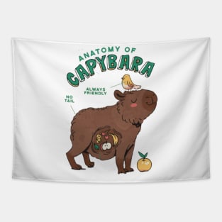 Anatomy of a Capybara Tapestry