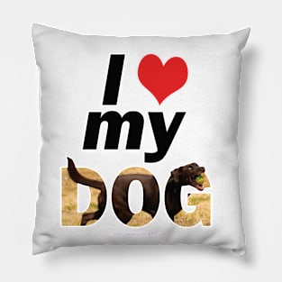 I love (heart) my dad - chocolate labrador oil painting word art Pillow