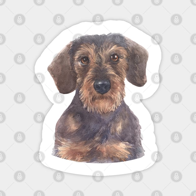 Wirehair Miniature Dachshund Watercolor Art Magnet by doglovershirts