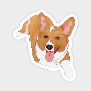 Corgi Magnet