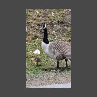 Duck Family T-Shirt