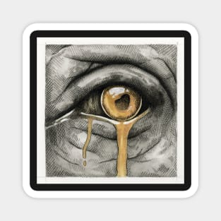 Elephant eye, golden tear Magnet