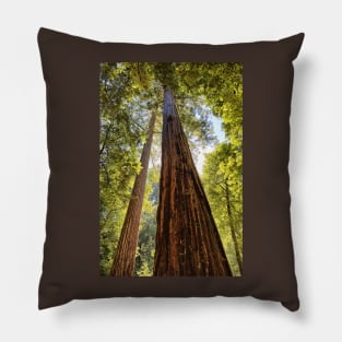 The Redwoods Pillow