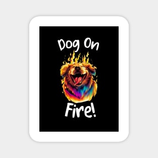 DOG ON FIRE Magnet