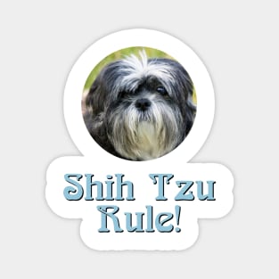 Shih Tzu Rule! Magnet