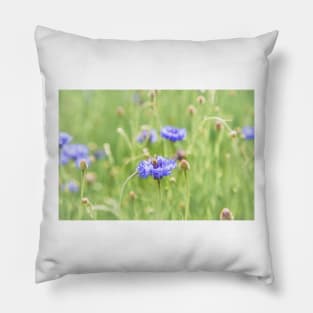 Little Honey Bee and Blue Cornflowers Pillow