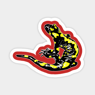 Fire salamander Magnet