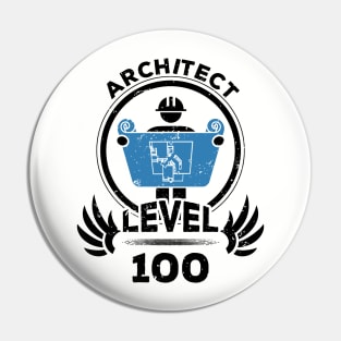 Level 100 Architect Gift For Architect Graduate Pin