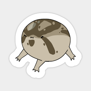 Desert Rain Frog Magnets Teepublic