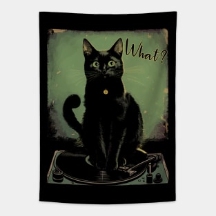 Black Cat Sitting On Vinyl Record Player Women, Men Tapestry