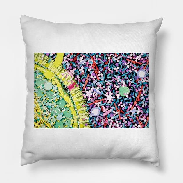 Antibodies in action, artwork (P270/0064) Pillow by SciencePhoto