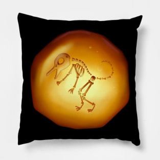 Curios Dinosaur Bones Fossil Trapped In Amber Pillow