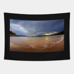 Tranquil Beach Tapestry