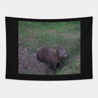 Wombat Photo Tapestry