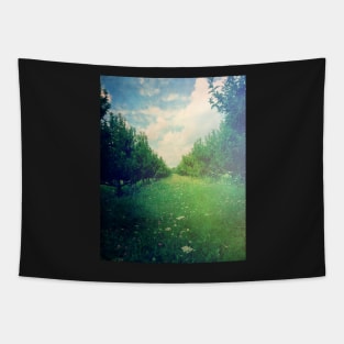 Apple Orchard in Spring Tapestry