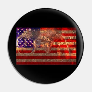 U.S.A. Rustic Flag Pin