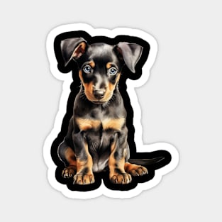 Puppy Doberman Pinscher Magnet