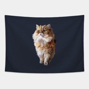 Persian Cat Cute Orange Persian Kitty Tapestry