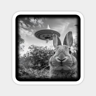 Funny Bunny Selfie with UFO Magnet