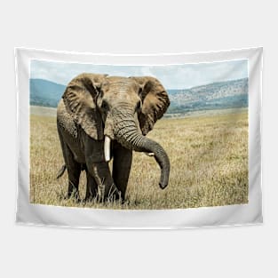 African Elephant Tapestry