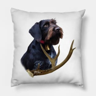 German Wirehaired Pointer Pillow