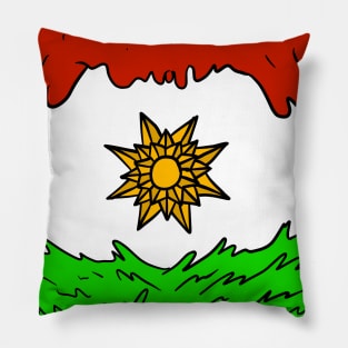 kurdish flag. flag of kurdistan. Pillow