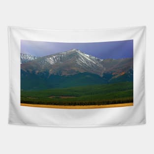 Mount Elbert Tapestry