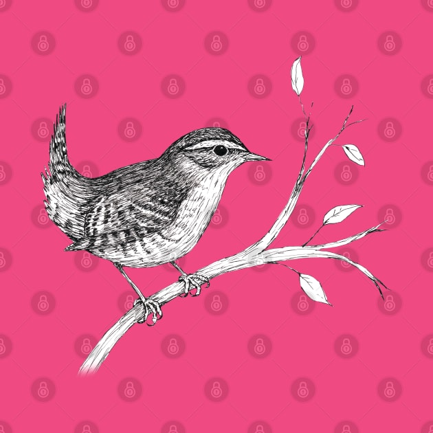 Wren pen drawing by Bwiselizzy