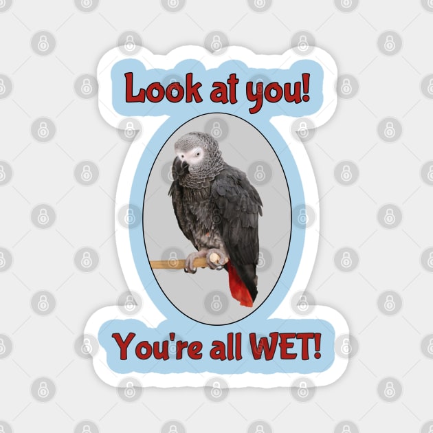 African Grey Parrot on Perch Magnet by Einstein Parrot
