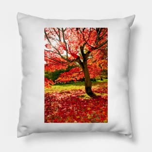 Autumn Acer Tree Westonbirt Arboretum Cotswolds Gloucestershire Pillow