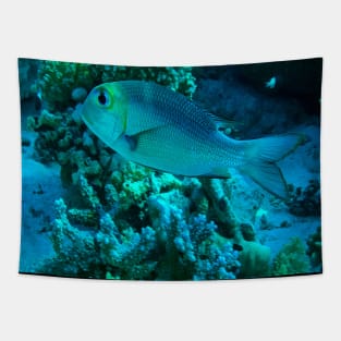 Reef Fish Tapestry