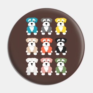 Rainbow of Miniature Schnauzer Dogs on Chocolate Brown  Background Pin