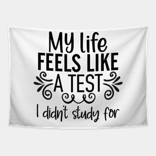 my life feels like a test I didn't study for Tapestry