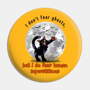 Black cat stands up to superstition Pin