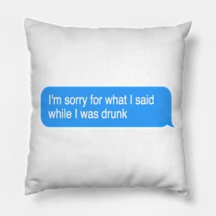 I'm sorry for what I said while I was drunk Pillow