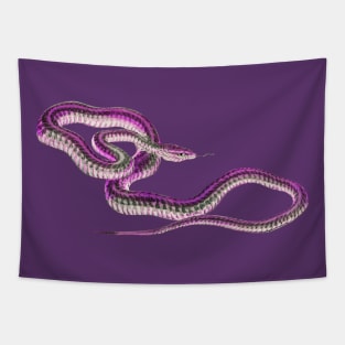 serpent,cobra,reptile,viper,venom,lizard,rattlesnake,king cobra Tapestry