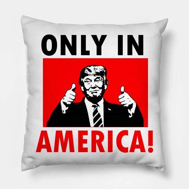 ONLY IN AMERICA! Pillow by truthtopower