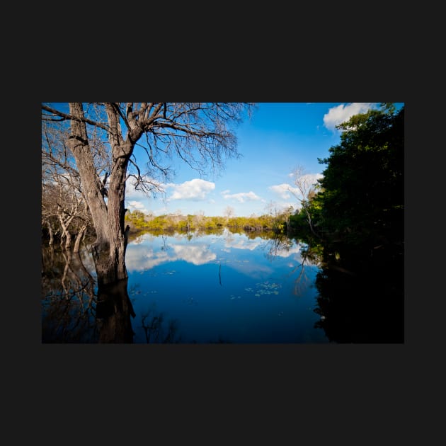 Angkor Wat lake landscape by Lieyim