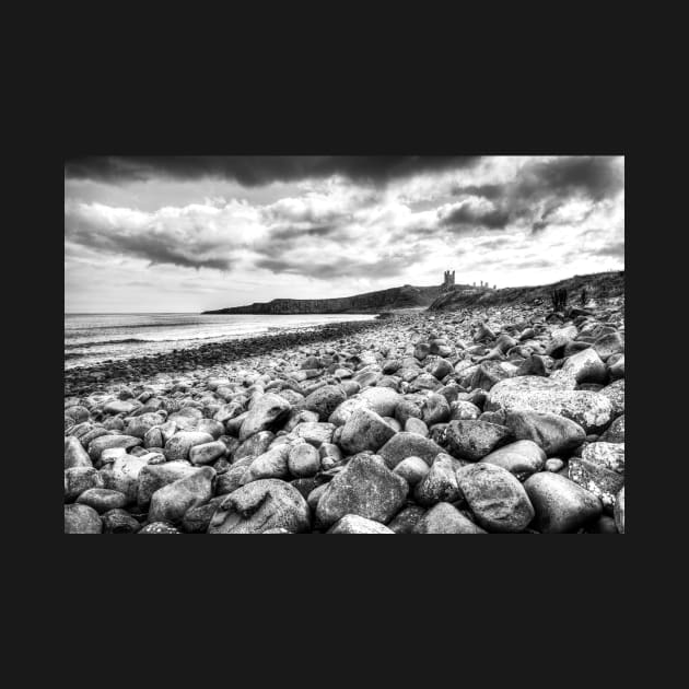 Dunstanburgh Castle Northumberland Coast by tommysphotos