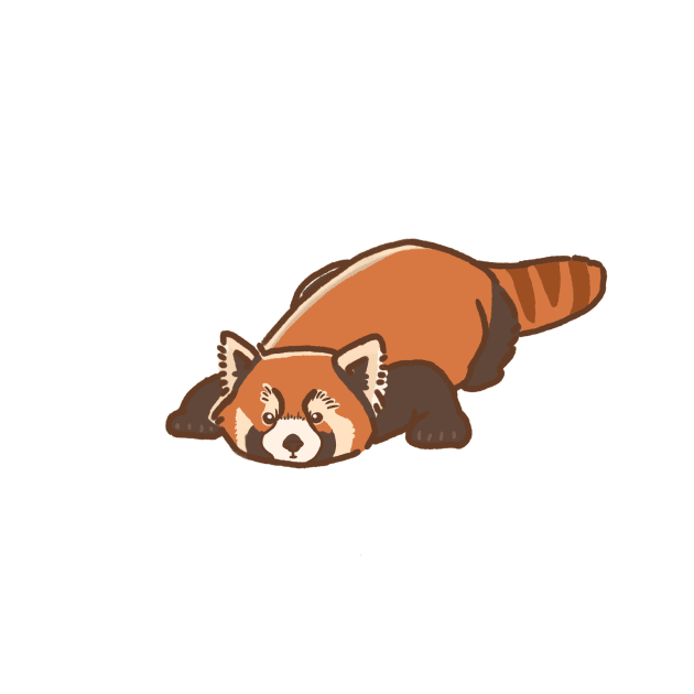 Red Panda by KatiaMart