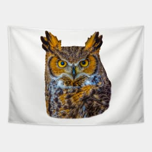 Cut out of Great Horned Owl Tapestry