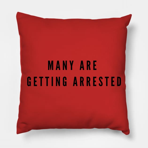 Many are getting arrested Pillow by mike11209