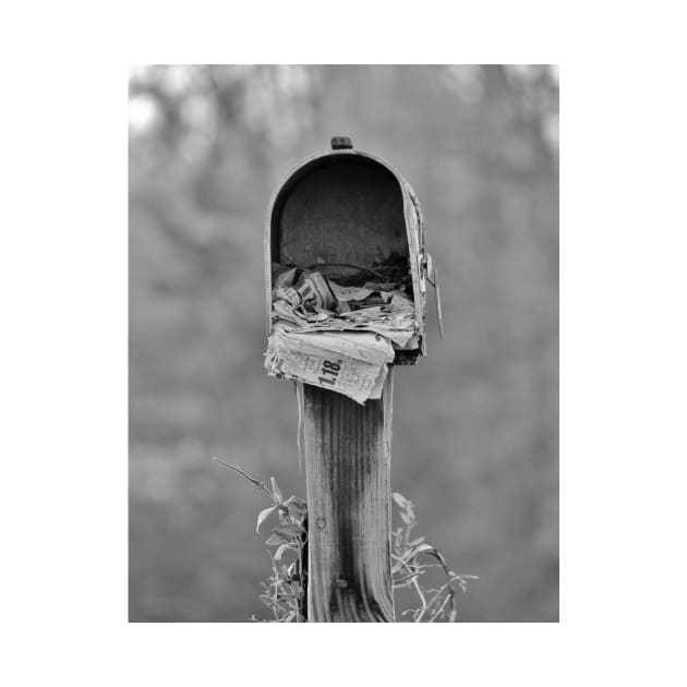 Forgotten Mail by Cynthia48