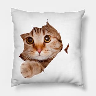 Alien cat Pillow